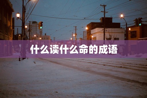 什么读什么命的成语