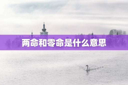 两命和零命是什么意思