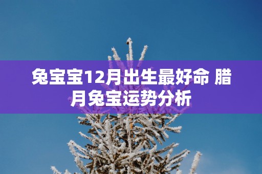 兔宝宝12月出生最好命 腊月兔宝运势分析