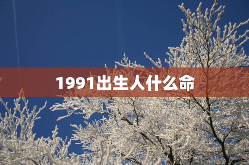 1991出生人什么命
