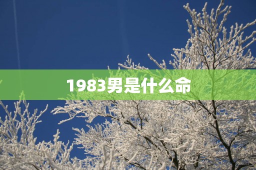 1983男是什么命