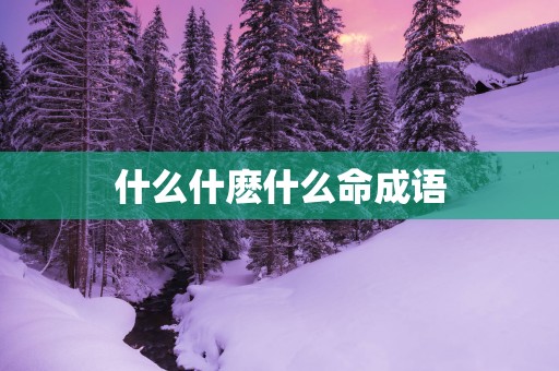 什么什麽什么命成语
