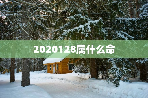 2025128属什么命