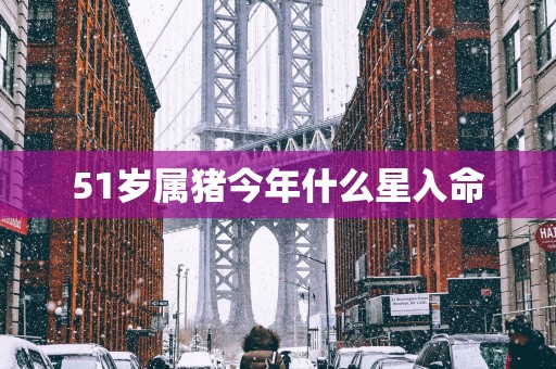 51岁属猪今年什么星入命