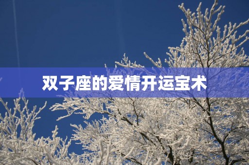 双子座的爱情开运宝术