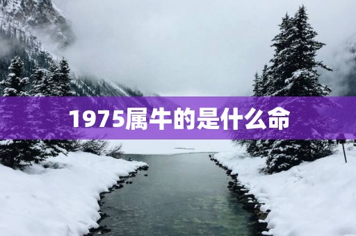 1975属牛的是什么命