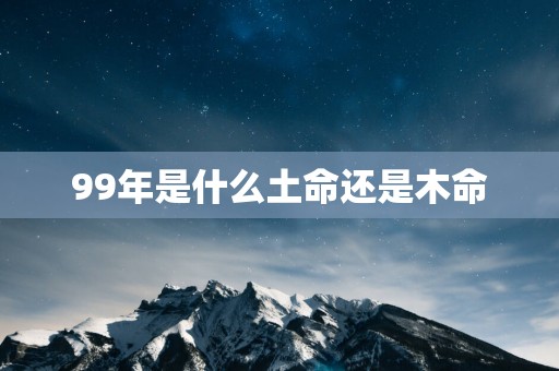 99年是什么土命还是木命