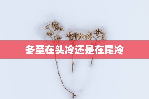 冬至在头冷还是在尾冷