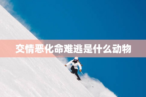 交情恶化命难逃是什么动物
