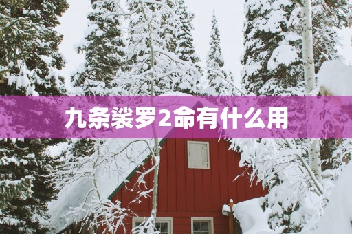 九条裟罗2命有什么用