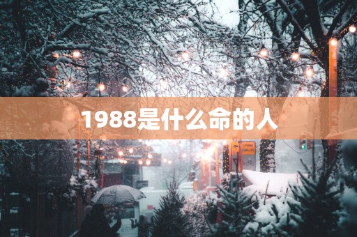 1988是什么命的人