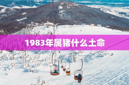 1983年属猪什么土命