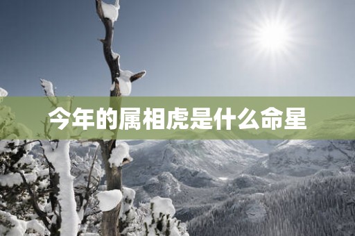 今年的属相虎是什么命星