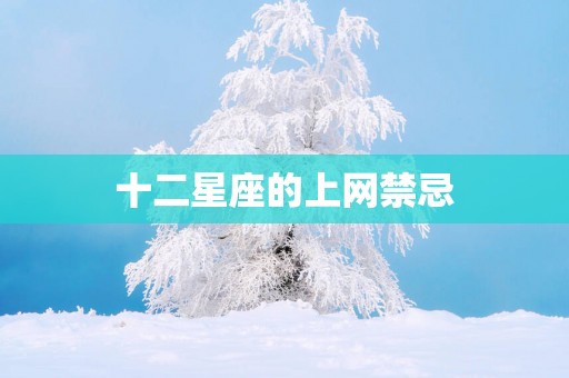 十二星座的上网禁忌