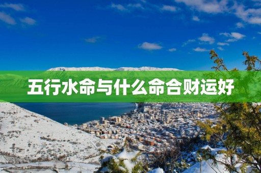 五行水命与什么命合财运好