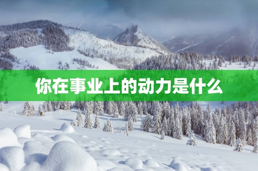 你在事业上的动力是什么