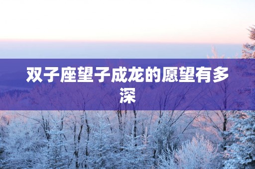 双子座望子成龙的愿望有多深