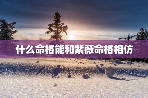 什么命格能和紫薇命格相仿