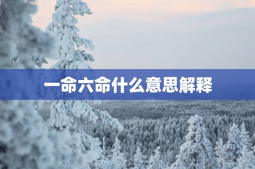 一命六命什么意思解释