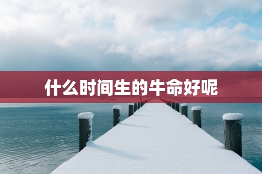 什么时间生的牛命好呢