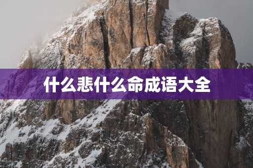 什么悲什么命成语大全