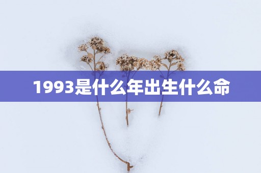 1993是什么年出生什么命