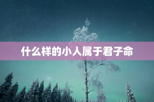 什么样的小人属于君子命
