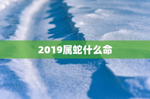 2019属蛇什么命