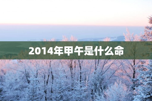 2014年甲午是什么命