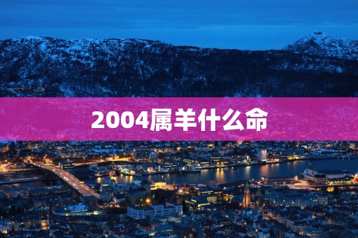 2004属羊什么命