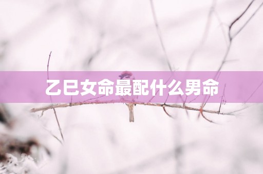 乙巳女命最配什么男命