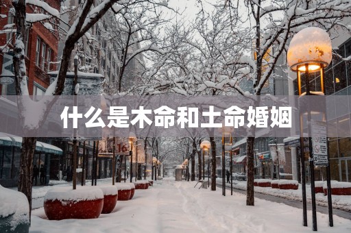 什么是木命和土命婚姻