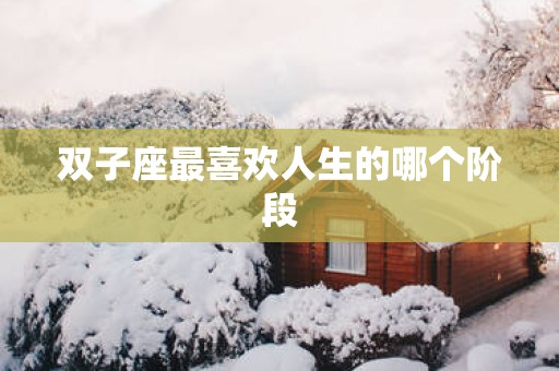 双子座最喜欢人生的哪个阶段