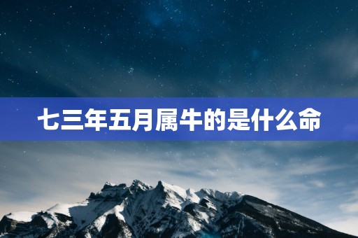 七三年五月属牛的是什么命