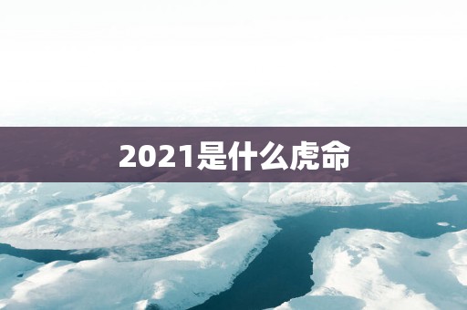 2025是什么虎命