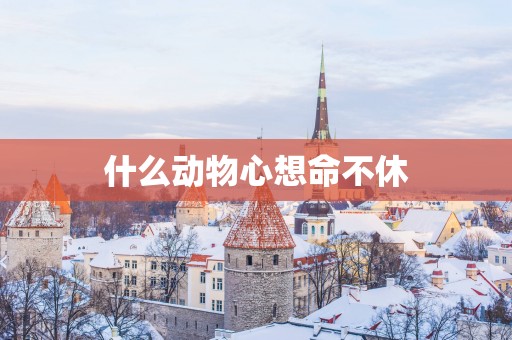 什么动物心想命不休