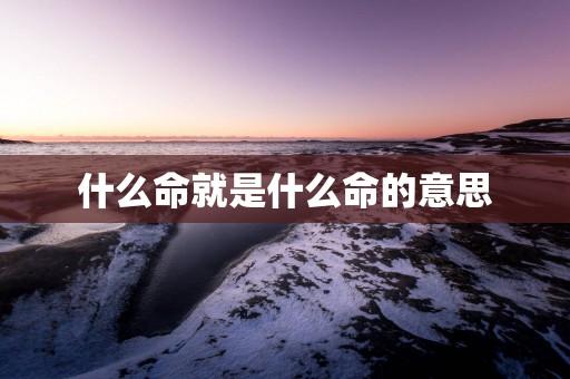 什么命就是什么命的意思