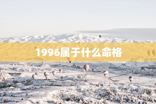 1996属于什么命格