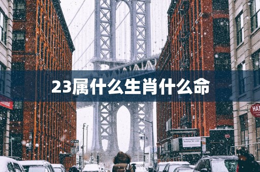 23属什么生肖什么命