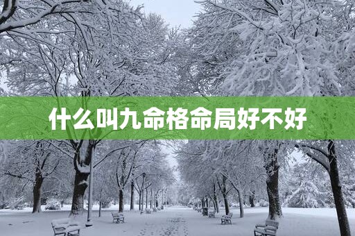 什么叫九命格命局好不好