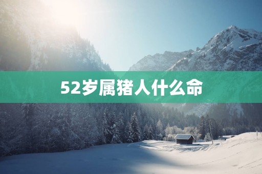 52岁属猪人什么命
