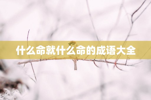 什么命就什么命的成语大全