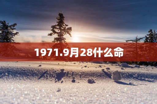 1971.9月28什么命
