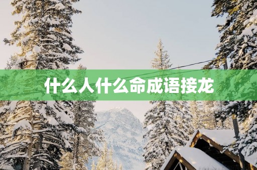 什么人什么命成语接龙
