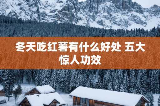 冬天吃红薯有什么好处 五大惊人功效