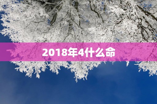 2018年4什么命