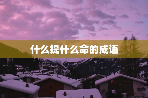 什么提什么命的成语