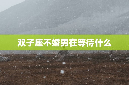 双子座不婚男在等待什么