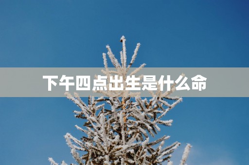 下午四点出生是什么命