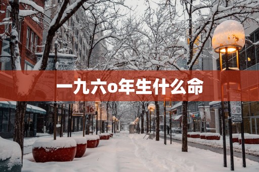 一九六o年生什么命